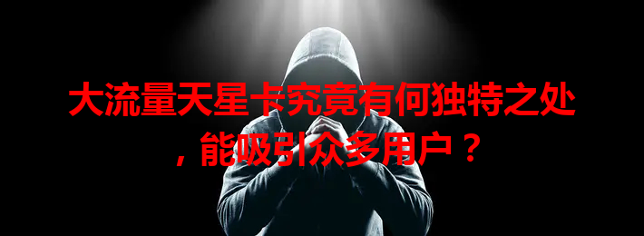 大流量天星卡究竟有何独特之处，能吸引众多用户？
