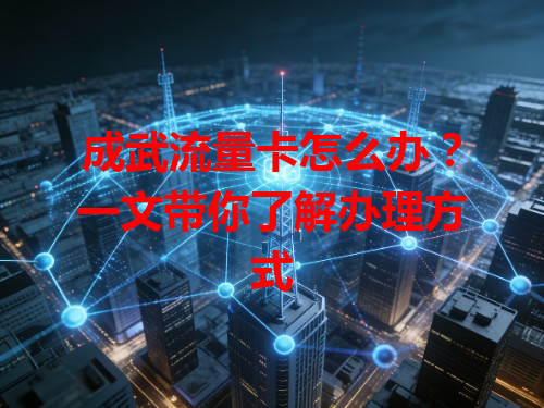 成武流量卡怎么办？一文带你了解办理方式