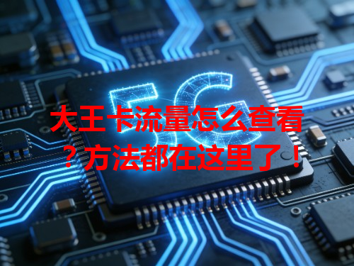 大王卡流量怎么查看？方法都在这里了！