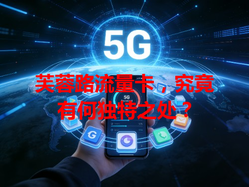 芙蓉路流量卡，究竟有何独特之处？