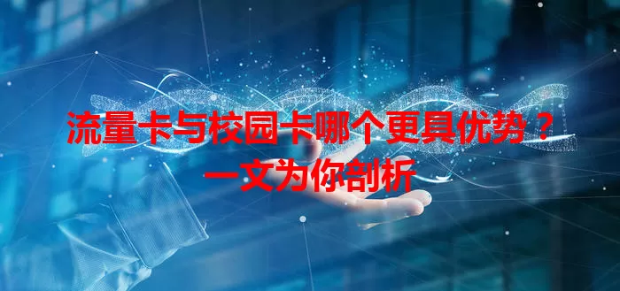 流量卡与校园卡哪个更具优势？一文为你剖析