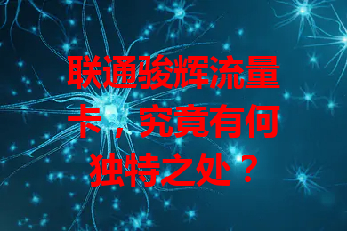 联通骏辉流量卡，究竟有何独特之处？