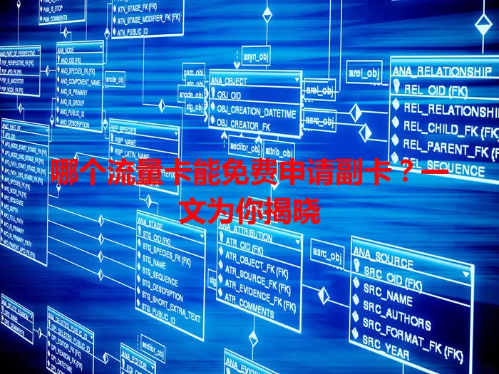 哪个流量卡能免费申请副卡？一文为你揭晓