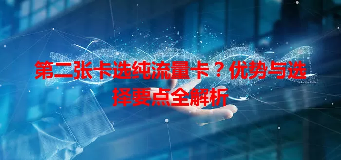 第二张卡选纯流量卡？优势与选择要点全解析