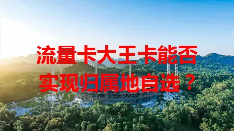 流量卡大王卡能否实现归属地自选？