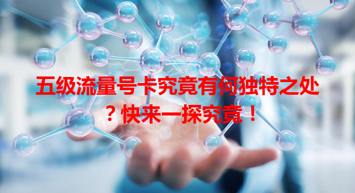 五级流量号卡究竟有何独特之处？快来一探究竟！
