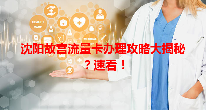 沈阳故宫流量卡办理攻略大揭秘？速看！