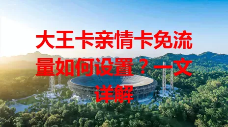 大王卡亲情卡免流量如何设置？一文详解