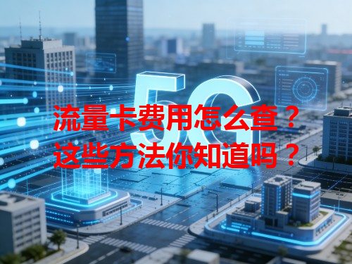 流量卡费用怎么查？这些方法你知道吗？