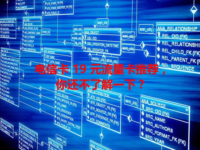 电信卡 19 元流量卡推荐，你还不了解一下？