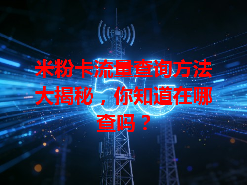 米粉卡流量查询方法大揭秘，你知道在哪查吗？