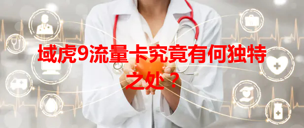 域虎9流量卡究竟有何独特之处？