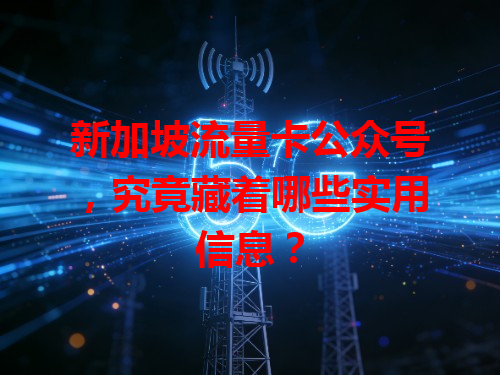 新加坡流量卡公众号，究竟藏着哪些实用信息？
