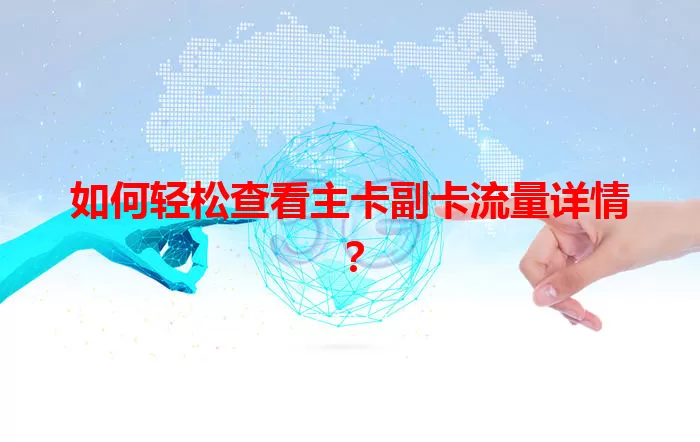 如何轻松查看主卡副卡流量详情？