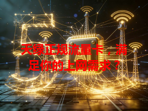 天绿正规流量卡，满足你的上网需求？