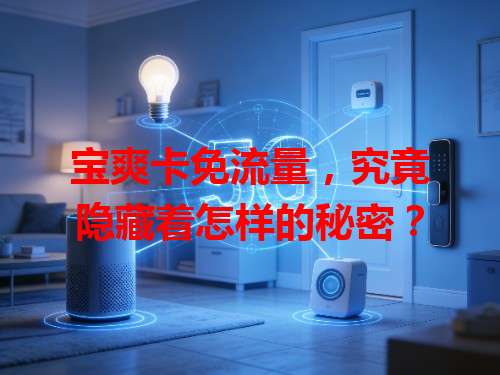 宝爽卡免流量，究竟隐藏着怎样的秘密？