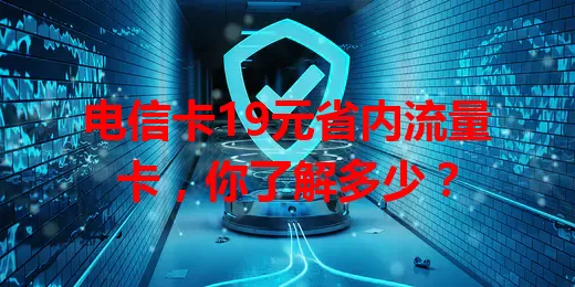 电信卡19元省内流量卡，你了解多少？
