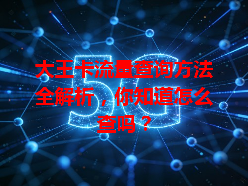 大王卡流量查询方法全解析，你知道怎么查吗？