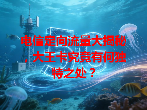 电信定向流量大揭秘，大王卡究竟有何独特之处？