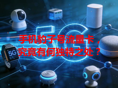 手机豹子号流量卡，究竟有何独特之处？