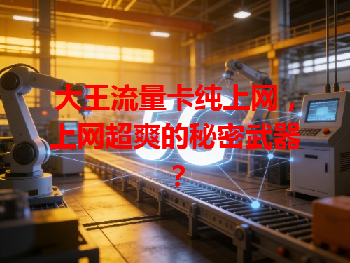 大王流量卡纯上网，上网超爽的秘密武器？