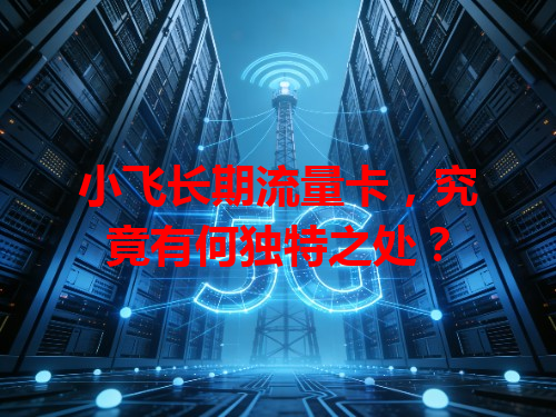 小飞长期流量卡，究竟有何独特之处？