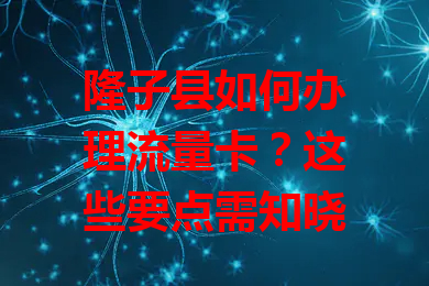 隆子县如何办理流量卡？这些要点需知晓