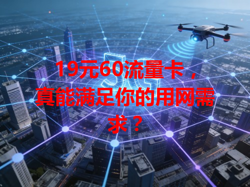 19元60流量卡，真能满足你的用网需求？