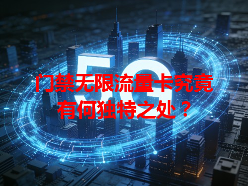 门禁无限流量卡究竟有何独特之处？