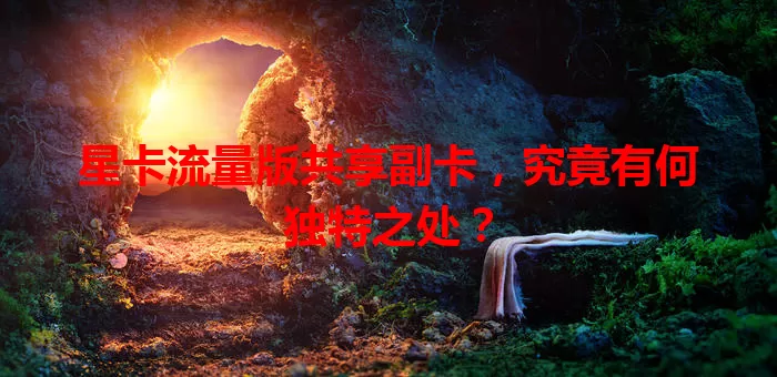 星卡流量版共享副卡，究竟有何独特之处？