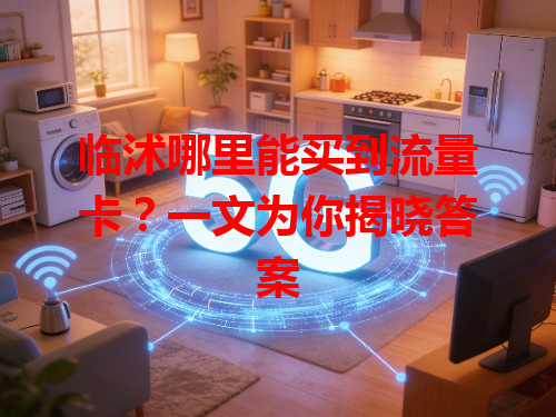 临沭哪里能买到流量卡？一文为你揭晓答案
