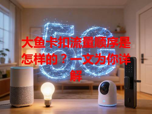 大鱼卡扣流量顺序是怎样的？一文为你详解