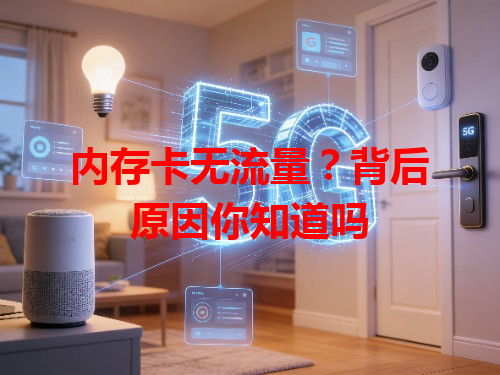 内存卡无流量？背后原因你知道吗