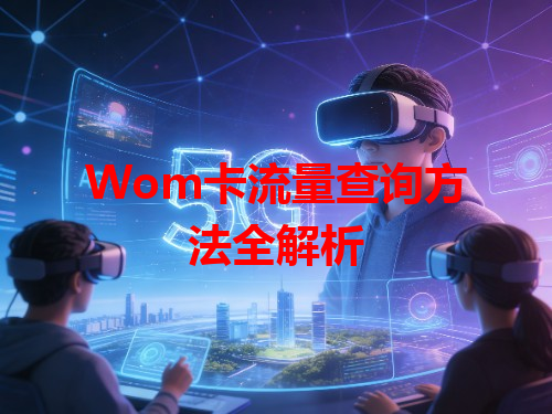Wom卡流量查询方法全解析
