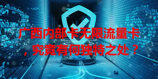 广西内部卡无限流量卡，究竟有何独特之处？