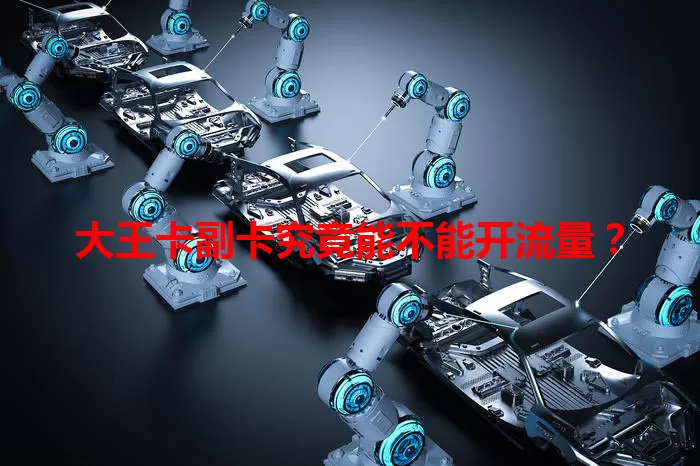 大王卡副卡究竟能不能开流量？