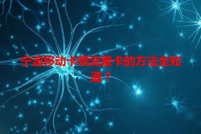 宁波移动卡领流量卡的方法全知道？