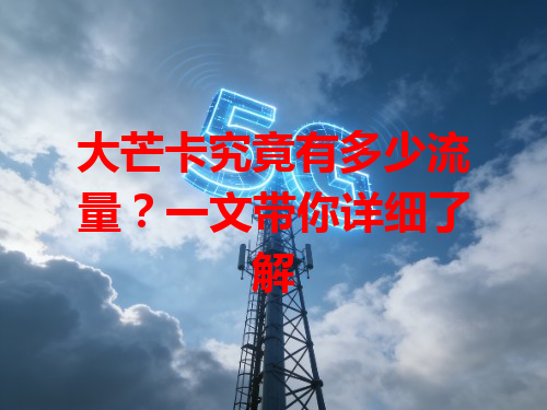 大芒卡究竟有多少流量？一文带你详细了解