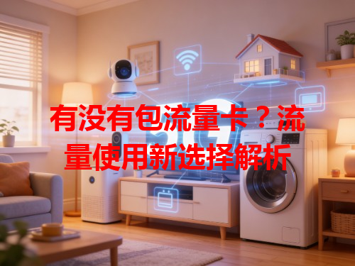 有没有包流量卡？流量使用新选择解析