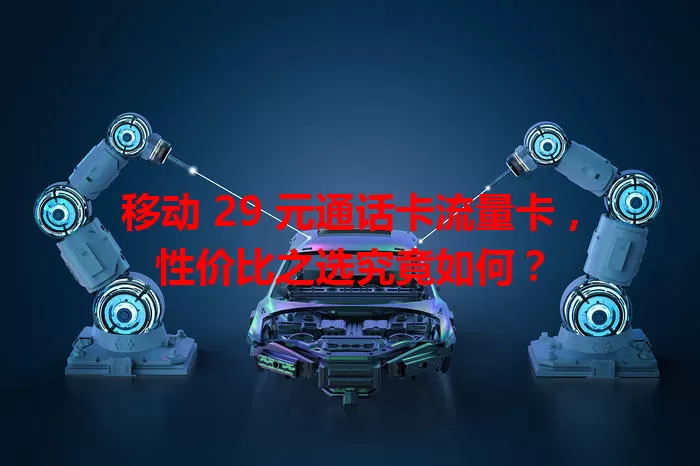 移动 29 元通话卡流量卡，性价比之选究竟如何？