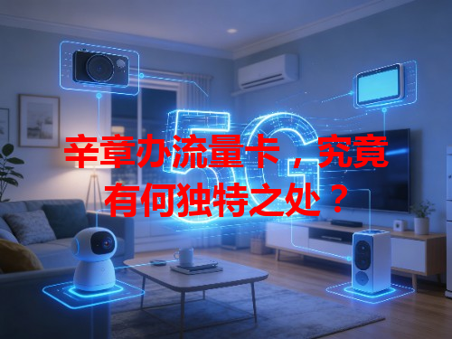 辛章办流量卡，究竟有何独特之处？