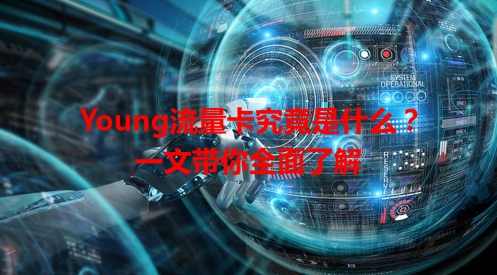Young流量卡究竟是什么？一文带你全面了解