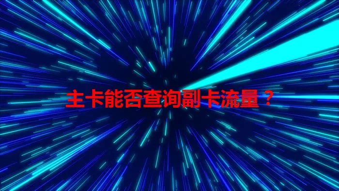 主卡能否查询副卡流量？