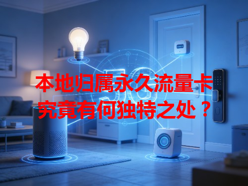 本地归属永久流量卡究竟有何独特之处？