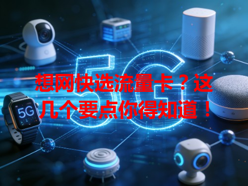 想网快选流量卡？这几个要点你得知道！