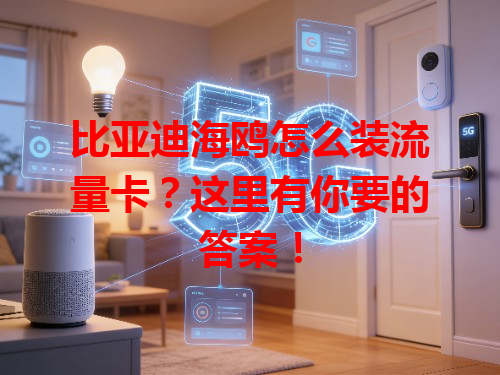 比亚迪海鸥怎么装流量卡？这里有你要的答案！