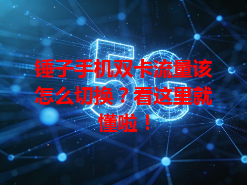 锤子手机双卡流量该怎么切换？看这里就懂啦！