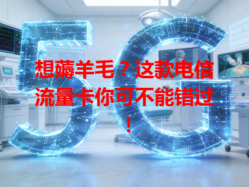 想薅羊毛？这款电信流量卡你可不能错过！