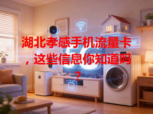 湖北孝感手机流量卡，这些信息你知道吗？