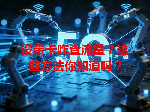 没带卡咋查流量？这些方法你知道吗？